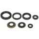 Set garnituri motor WINDEROSA pentru YAMAHA YFB 250 1994-2000