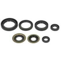 Set garnituri pentru motor WINDEROSA