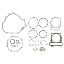 Set garnituri complet, motor WINDEROSA