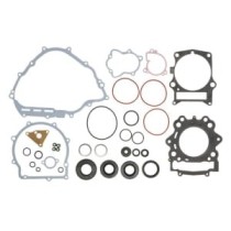 Set garnituri complet, motor WINDEROSA