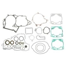 Set garnituri complet, motor WINDEROSA