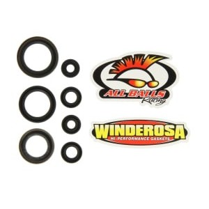 Set garnituri pentru motor WINDEROSA