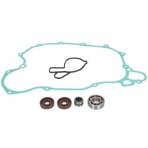 Set reparatie, pompa apa WINDEROSA