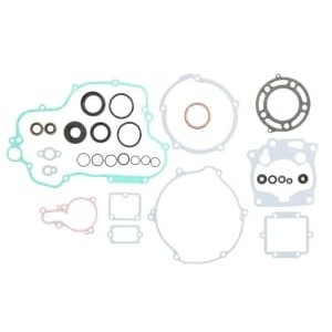 Set garnituri complet, motor WINDEROSA