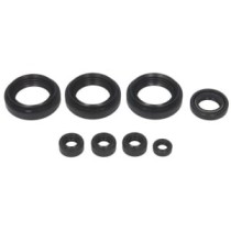 Set garnituri pentru motor WINDEROSA