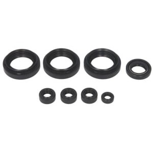 Set garnituri pentru motor WINDEROSA