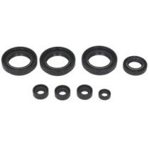 Set garnituri pentru motor WINDEROSA