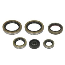 Set garnituri pentru motor WINDEROSA