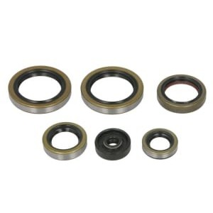 Set garnituri pentru motor WINDEROSA