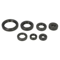 Set garnituri pentru motor WINDEROSA