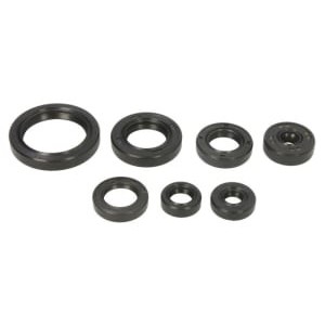 Set garnituri pentru motor WINDEROSA