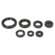 Set garnituri pentru motor WINDEROSA