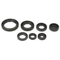 Set garnituri pentru motor WINDEROSA