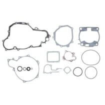 Set garnituri complet, motor WINDEROSA