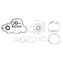 Set garnituri complet, motor WINDEROSA