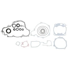 Set garnituri complet, motor WINDEROSA