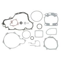 Set garnituri complet, motor WINDEROSA