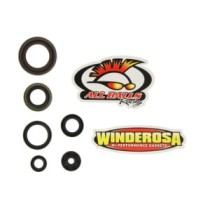 Set garnituri pentru motor WINDEROSA