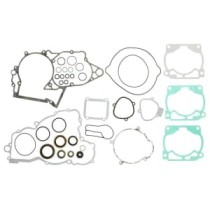 Set garnituri complet, motor WINDEROSA