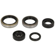 Set garnituri pentru motor WINDEROSA