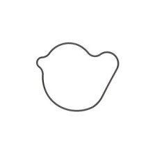 Garnitura, pompa de apa ATHENA