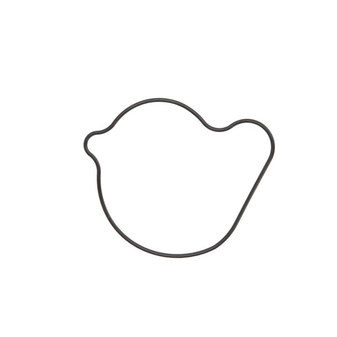 Garnitura, pompa de apa ATHENA