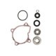 Set Reparatie Pompa Apa WINDEROSA Sistem Racire Kit Reparatie Pompa Apa 0,07kg Piesa Eticheta Printabila