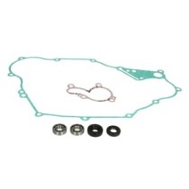 Set reparatie, pompa apa WINDEROSA