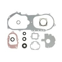 Set garnituri complet, motor WINDEROSA