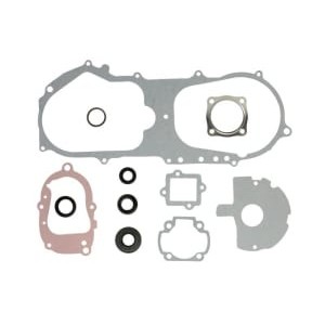 Set garnituri complet, motor WINDEROSA