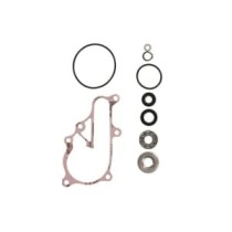 Set reparatie, pompa apa WINDEROSA