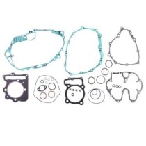 Set garnituri complet, motor WINDEROSA