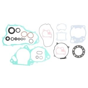 Set garnituri complet, motor WINDEROSA