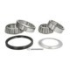 Kit rulmenti roata SKF