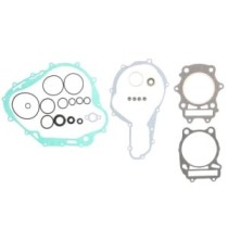 Set garnituri complet, motor WINDEROSA