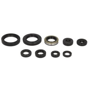 Set garnituri pentru motor WINDEROSA