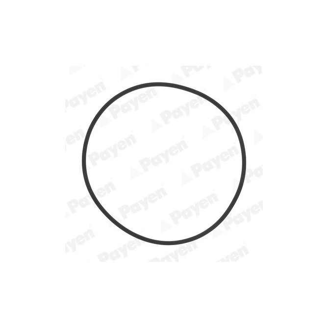 Set garnituri, bucsa cilindru PAYEN