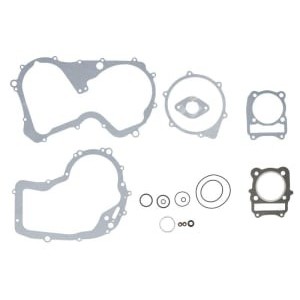 Set garnituri complet, motor WINDEROSA