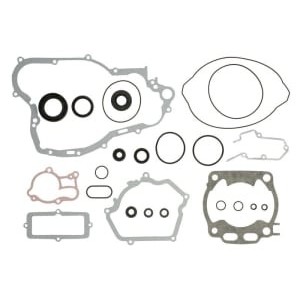 Set garnituri complet, motor WINDEROSA