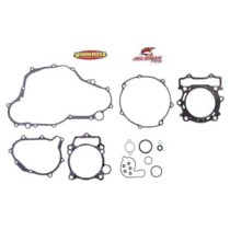 Set garnituri complet, motor WINDEROSA