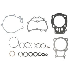 Set garnituri complet, motor WINDEROSA