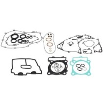 Set garnituri pentru motor WINDEROSA