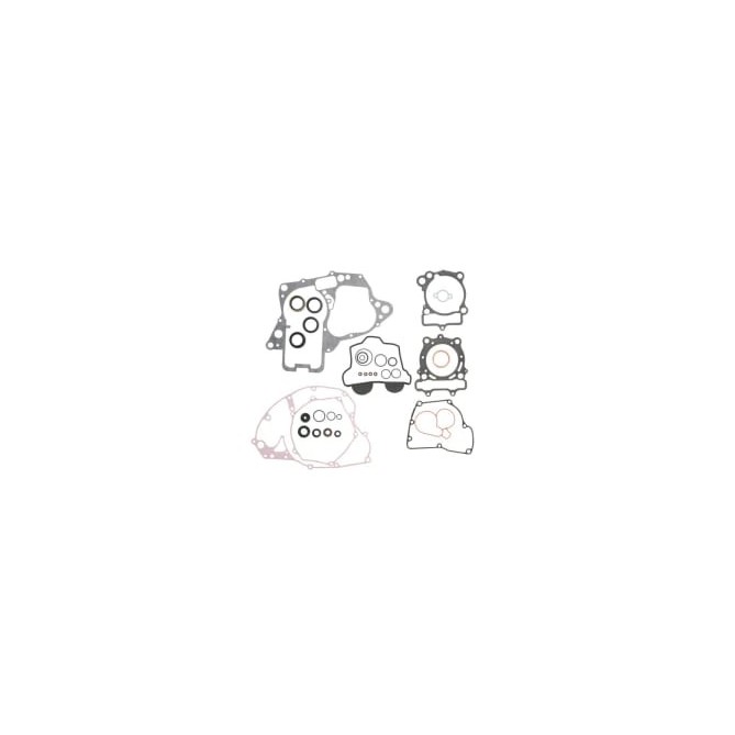 Set garnituri complet, motor WINDEROSA