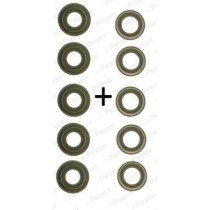 Set garnituri, ax supape PAYEN