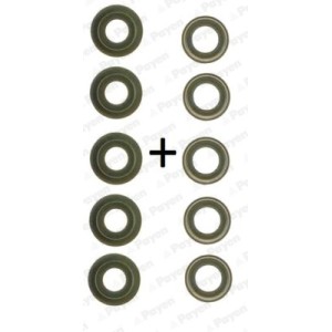 Set garnituri, ax supape PAYEN