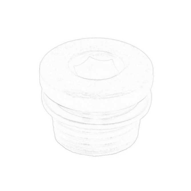 Surub de golire, baia de ulei OE FIAT