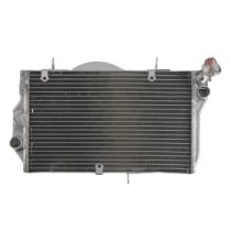 Radiator, racire motor 4 RIDE
