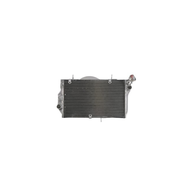 Radiator, racire motor 4 RIDE