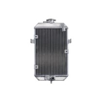 Radiator, racire motor 4 RIDE