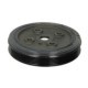 Fulie curea arbore cotit CORTECO VOLVO S80 V70 XC70 2.4D 03.06 diametru 177.0 mm latime 31.0 mm 4 nervuri